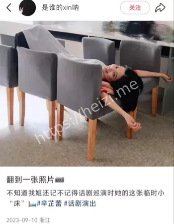 辛芷蕾助理小号