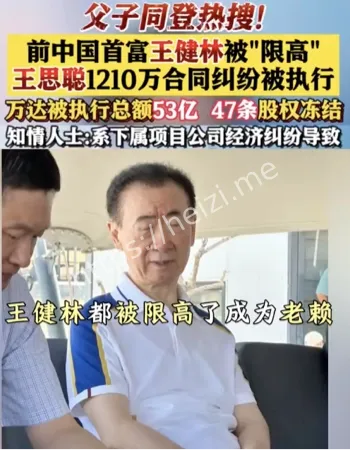 王健林限高风波
